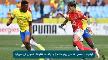 توقيت الحسم.. الأهلي يواجه تحديًا جديدًا بعد التوقف الدولي في أفريقيا